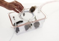 Small Induction Chamber