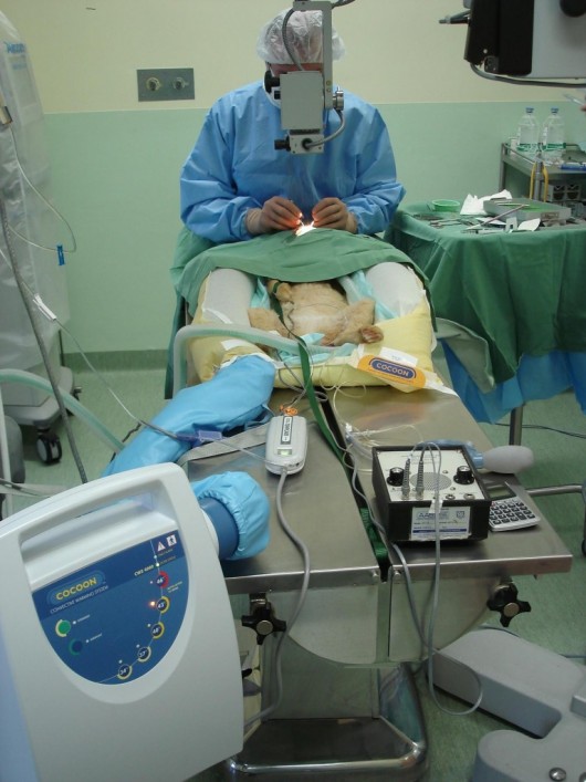 Fever in the intensive care unit (Fever in the intensive care unit (ICU). Fever may be wet sponges andFever in the intensive care unit (Fever in the intensive care unit (ICU). Fever may be wet sponges andcooling blankets, and administration of cooled intravenous fluids. Fever in the intensive care unit (Fever in the intensive care unit (ICU). Fever may be wet sponges andFever in the intensive care unit (Fever in the intensive care unit (ICU). Fever may be wet sponges andcooling blankets, and administration of cooled intravenous fluids.