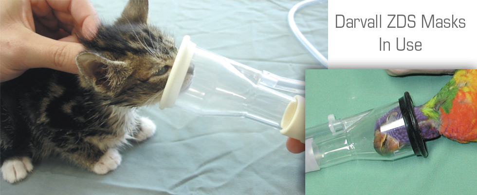 ZDS Mask for Small Animals